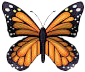 KNOWAutism Foundation
